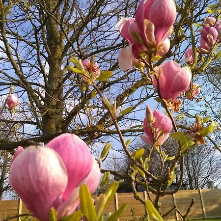 La Charretterie Appartamento Martragny
