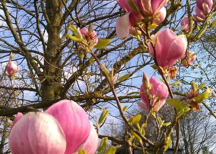 La Charretterie Apartment Martragny